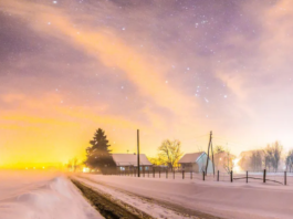 Embracing the Winter Solstice 2023: Longest Night in the Northern Hemisphere